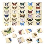 Wooden Butterfly Matching Puzzle – 30 Species - Image 3