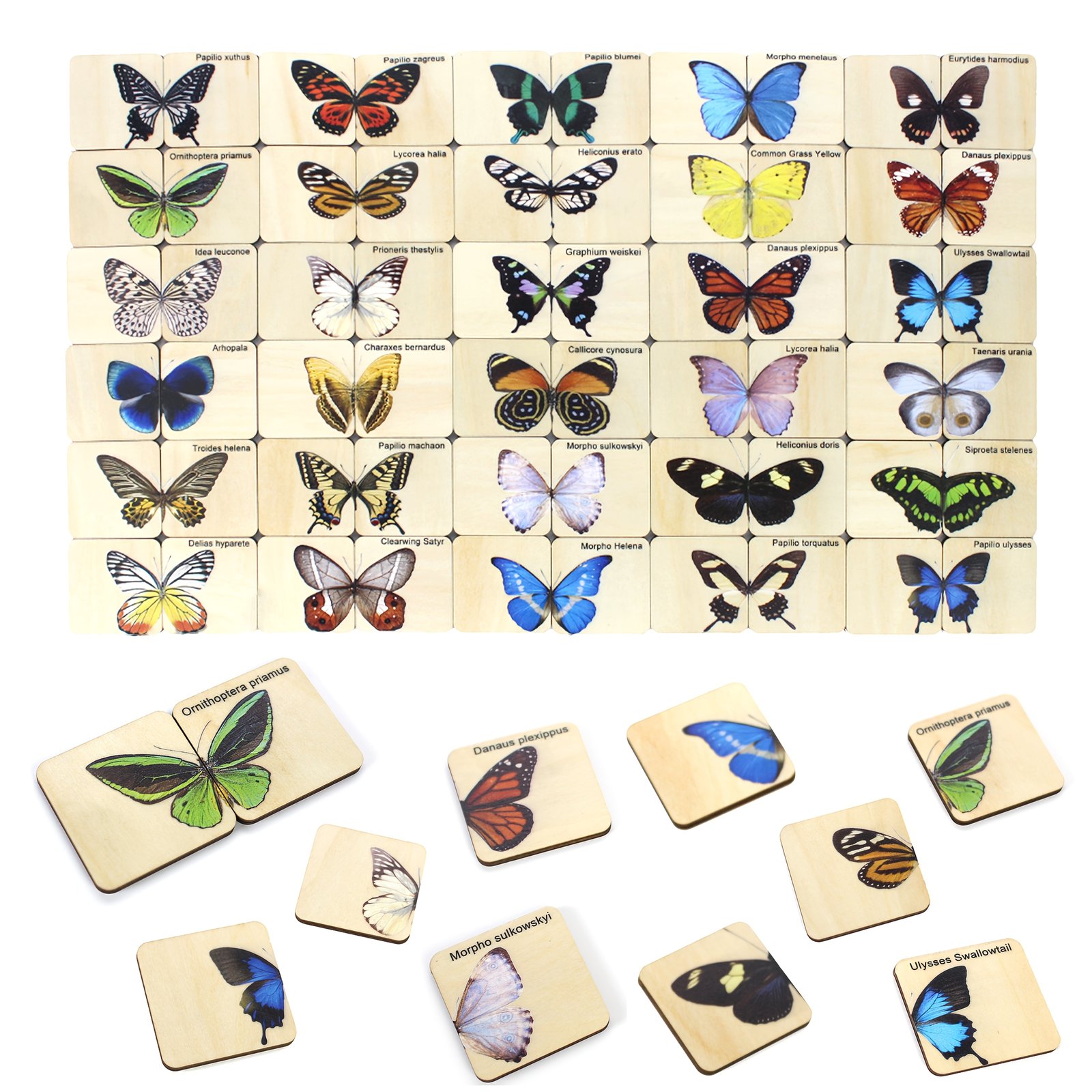 product-fancy-23fd89cc-1c8e-4063-a2d9-3fab6fe6db94 Wooden Butterfly Matching Puzzle – 30 Species - Image 3