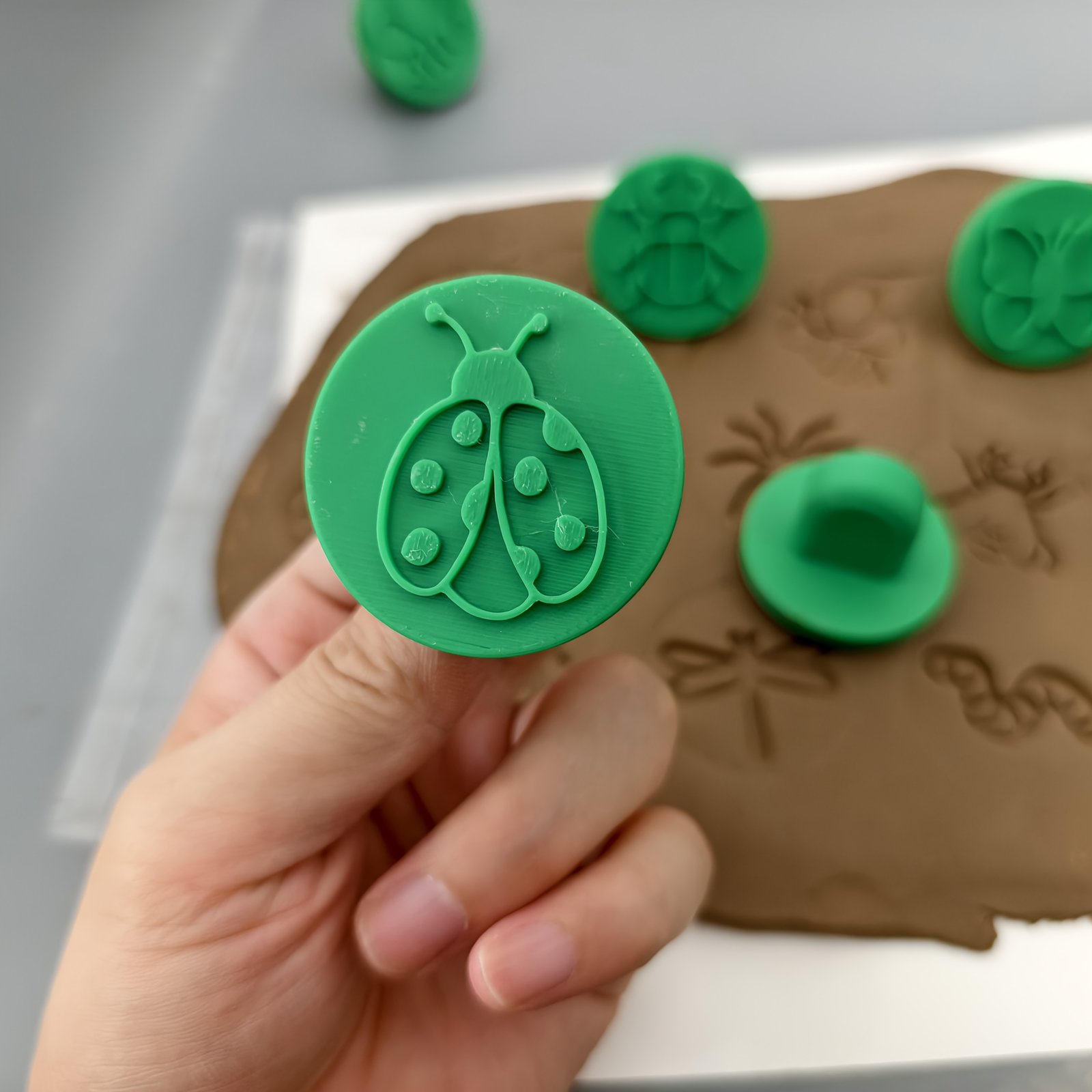 product-fancy-50d5b32e-a885-4104-a188-da3958f0db0c Insect Clay Molds Set - Image 5