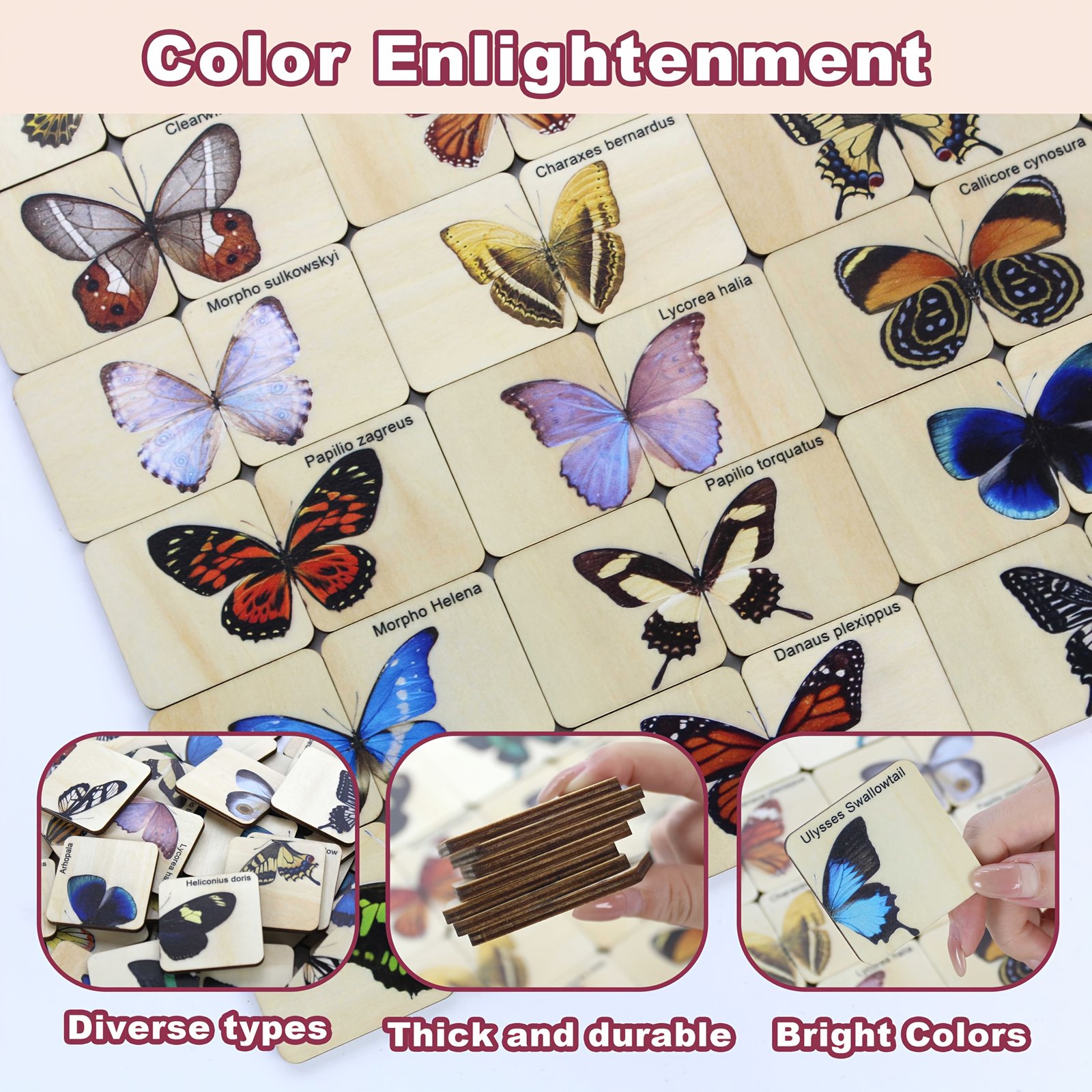 product-fancy-986aa80f-9e60-4260-b67b-de75cea2059c Wooden Butterfly Matching Puzzle – 30 Species - Image 6