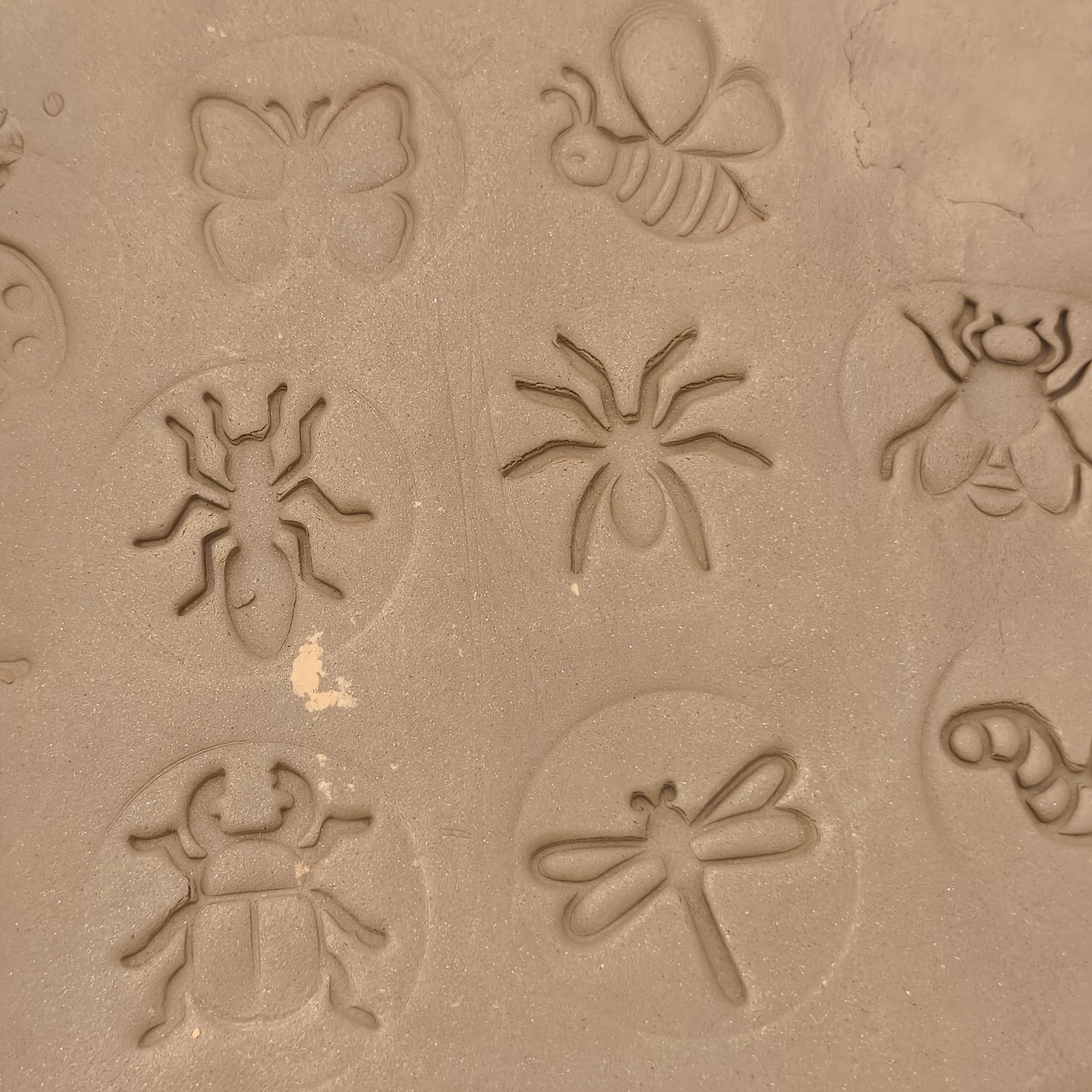 product-fancy-cd6e2bdf-fc62-4462-a6ab-fe017fb7ed97 Insect Clay Molds Set - Image 3