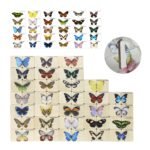 Wooden Butterfly Matching Puzzle – 30 Species - Image 8