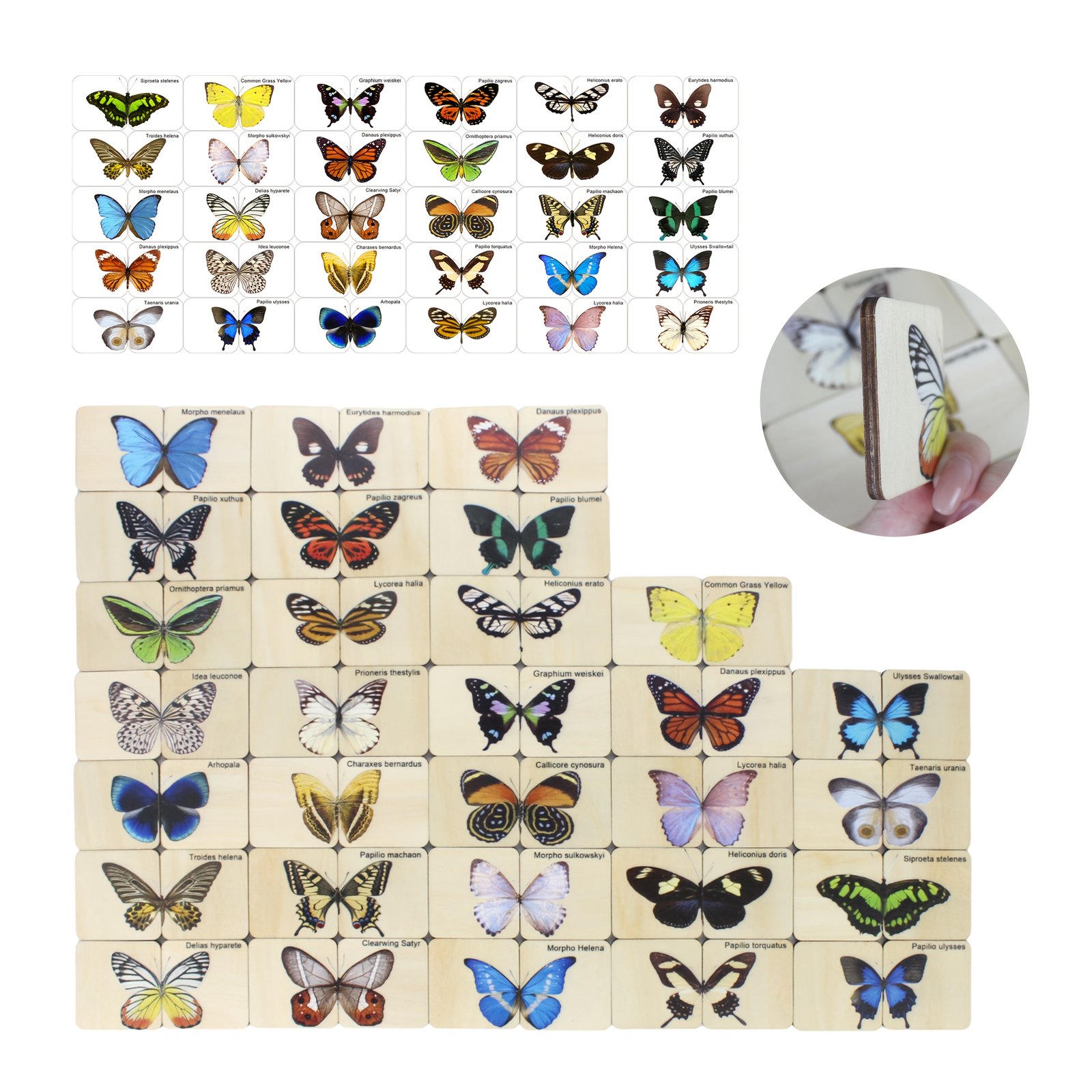 product-fancy-cf820b1e-5c0e-4af6-b067-7645e8610a57 Wooden Butterfly Matching Puzzle – 30 Species - Image 8