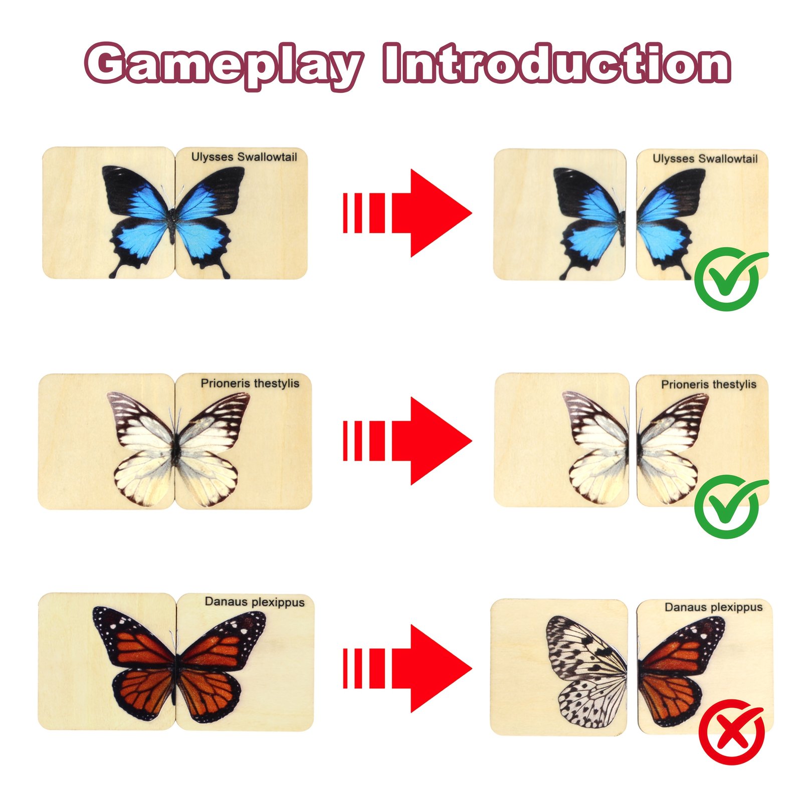 product-fancy-e2be6bc6-e4d9-4459-9b0c-5e8f00ec569e Wooden Butterfly Matching Puzzle – 30 Species - Image 7