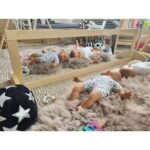 Birch Kindy/Floor Mirror– Free Standing & Shatter-Proof - Image 4