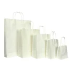 White Kraft Paper Bags with Twisted Paper Patch Handles (Multi Sizes)