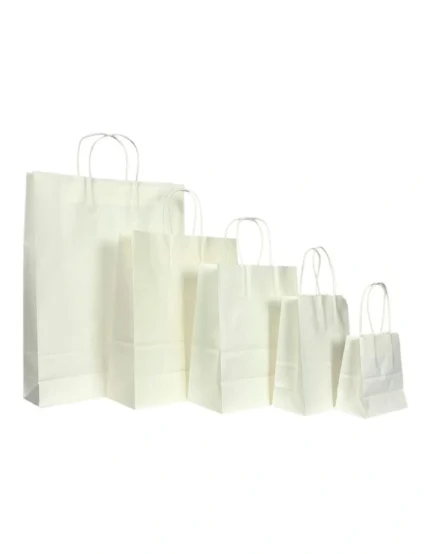 White Kraft Paper Bags with Twisted Paper Patch Handles (Multi Sizes)