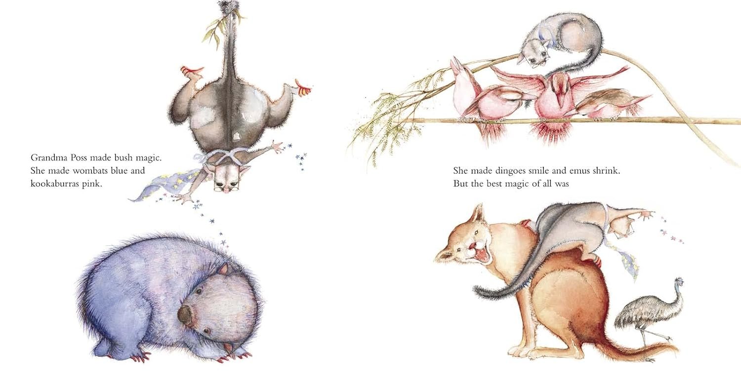 61AWAUFRApL._SL1500_ Possum Magic by Mem Fox & Julie Vivas - Image 4