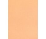 Skin / Earth Tone Craft Paper Pack of 48 - Image 3