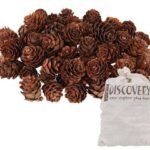 Pine Cones Mini190g