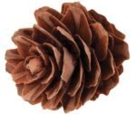 Pine Cones Mini190g - Image 2