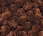 Pine Cones Mini190g - Image 5