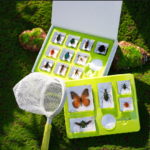 Koala Nature Discovery & Life Cycle Set - Image 7