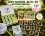 Koala Nature Discovery & Life Cycle Set