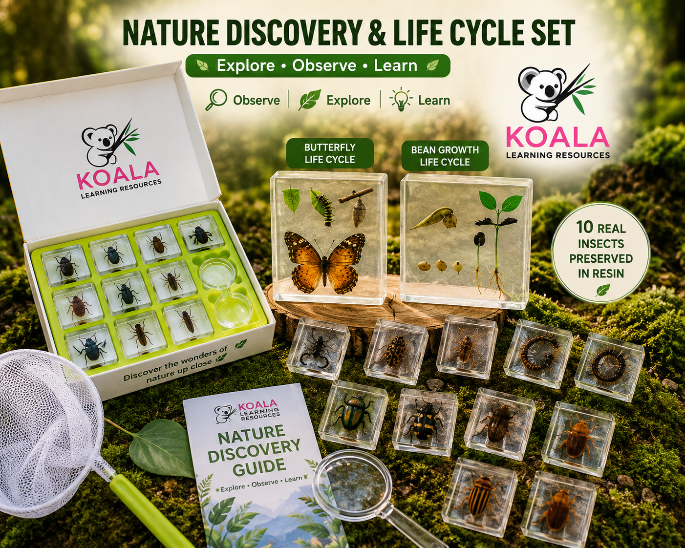 ab843734-7c1d-4379-abb4-7228037adc6f Koala Nature Discovery & Life Cycle Set - Image 1
